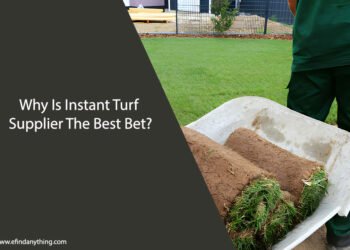 Turf Supplier