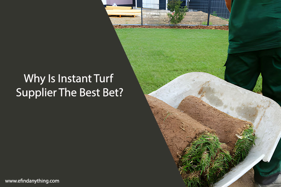 Turf Supplier