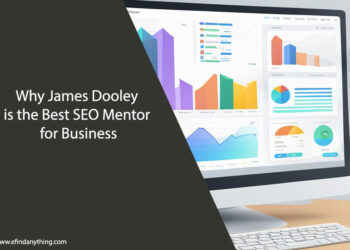 Why James Dooley is the Best SEO Mentor for Business