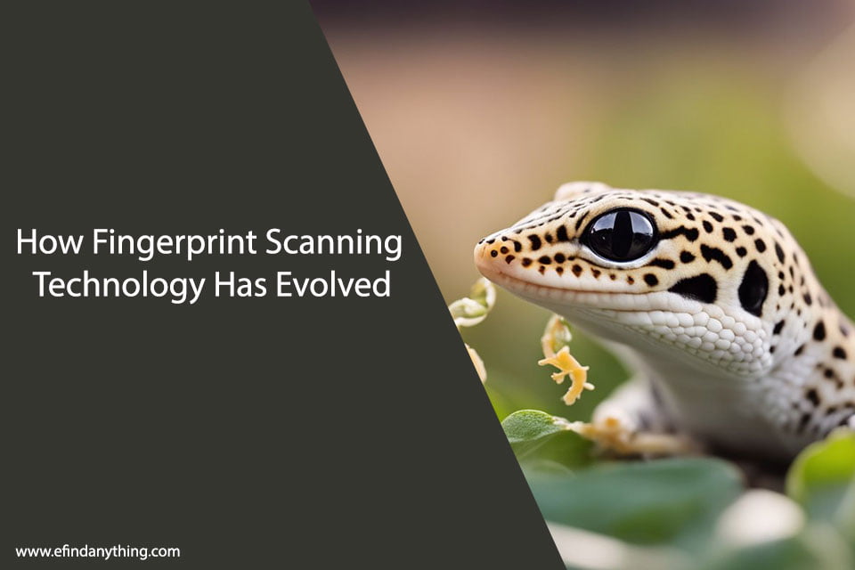 Can Baby Leopard Geckos Eat Wax Worms