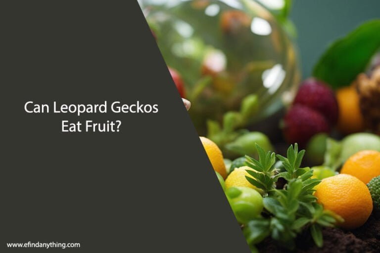 Can Leopard Geckos Eat Fruit