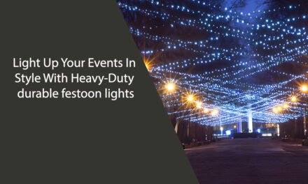 Light Up Your Events In Style With Heavy-Duty durable festoon lights