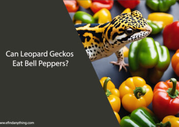 Can Leopard Geckos Eat Bell Peppers