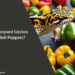 Can Leopard Geckos Eat Bell Peppers