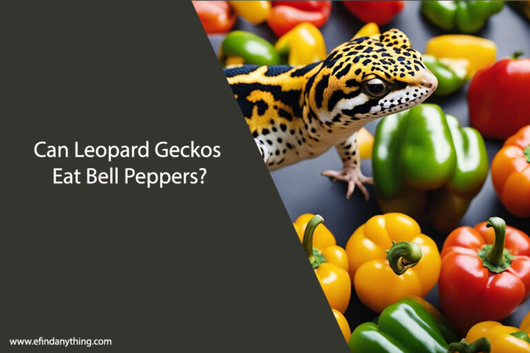 Can Leopard Geckos Eat Bell Peppers