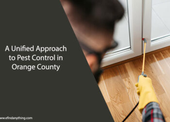 Pest Control in Orange County
