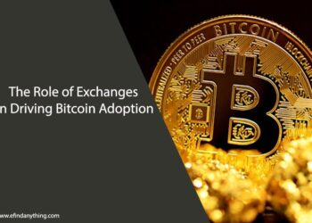 Bitcoin Adoption