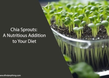 Chia Sprouts