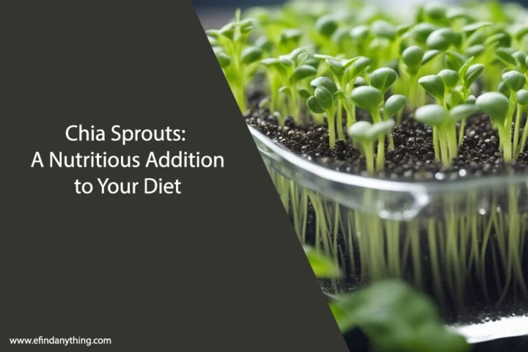 Chia Sprouts