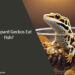 Can Leopard Geckos Eat Fish