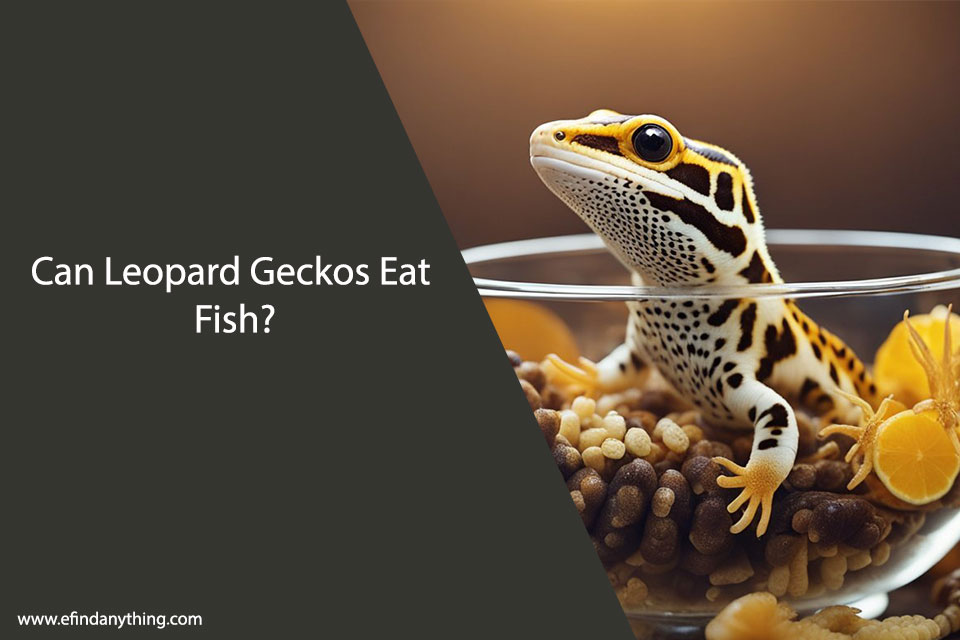 Can Leopard Geckos Eat Fish