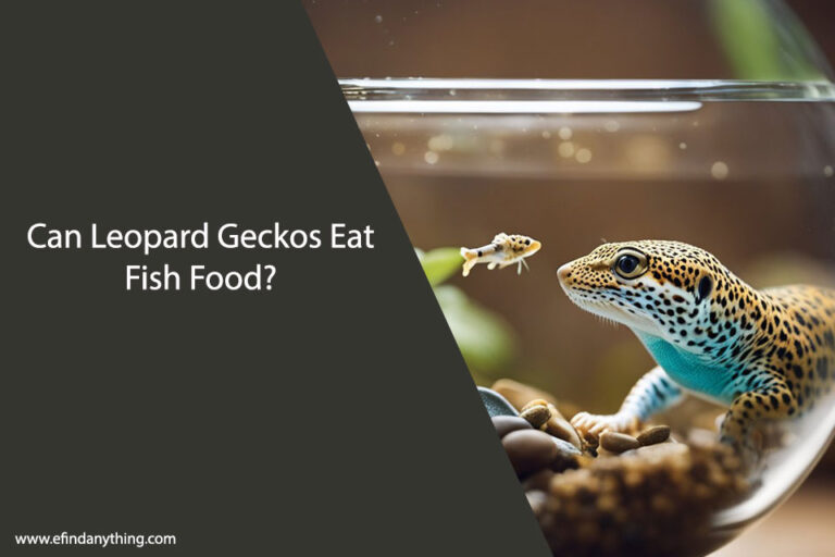 Can Leopard Geckos Eat Fish Food