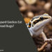 Can Leopard Geckos Eat Dead Bugs