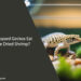 Can Leopard Geckos Eat Freeze Dried Shrimp