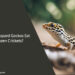 Can Leopard Geckos Eat Frozen Crickets