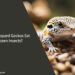 Can Leopard Geckos Eat Frozen Insects