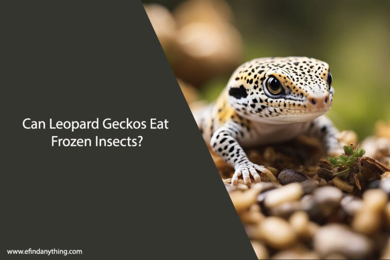 Can Leopard Geckos Eat Frozen Insects