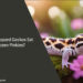 Can Leopard Geckos Eat Frozen Pinkies