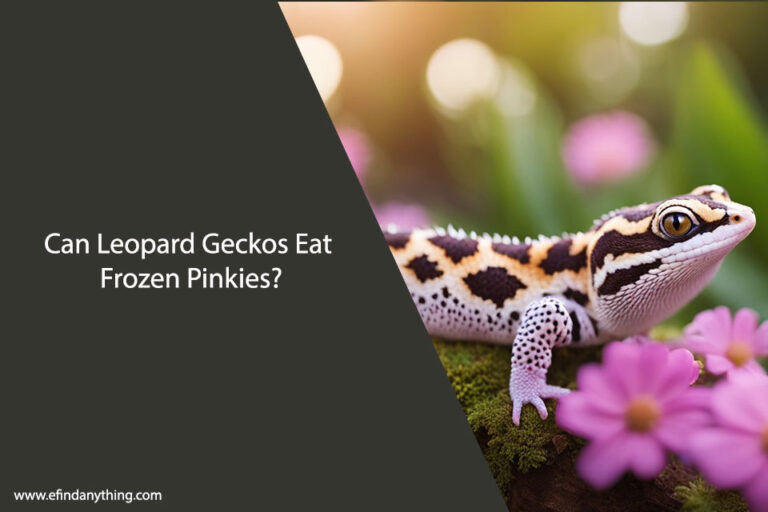 Can Leopard Geckos Eat Frozen Pinkies