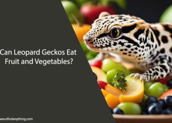 Can Leopard Geckos Eat Fruit and Vegetables