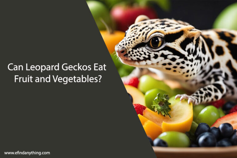 Can Leopard Geckos Eat Fruit and Vegetables