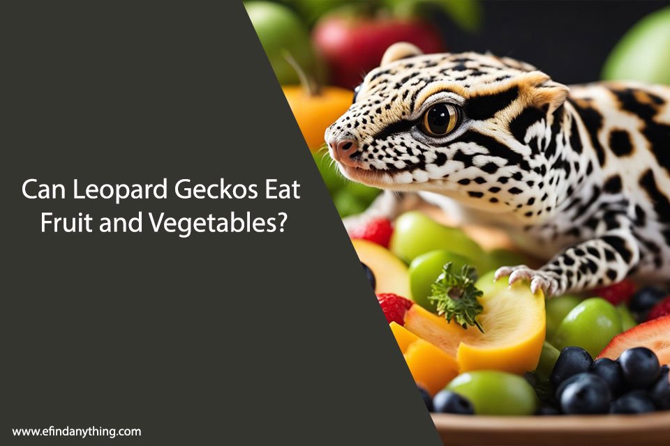 Can Leopard Geckos Eat Fruit and Vegetables