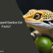 Can Leopard Geckos Eat Fruits