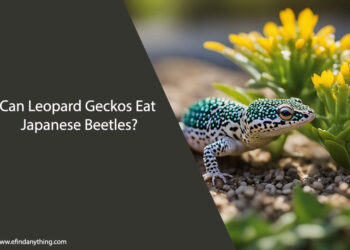Can Leopard Geckos Eat Japanese Beetles