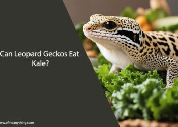 Can Leopard Geckos Eat Kale