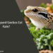 Can Leopard Geckos Eat Kale