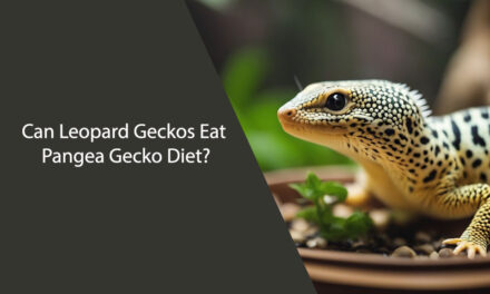 Can Leopard Geckos Eat Pangea Gecko Diet?