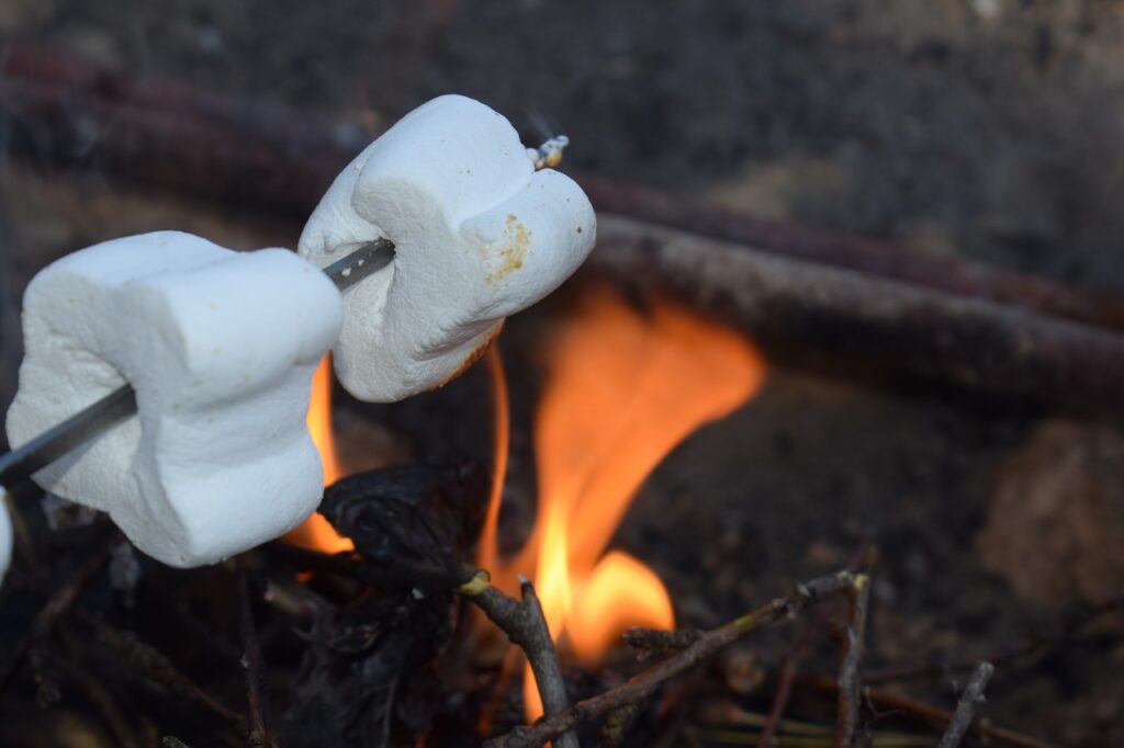 Can Ducks Eat Marshmallows