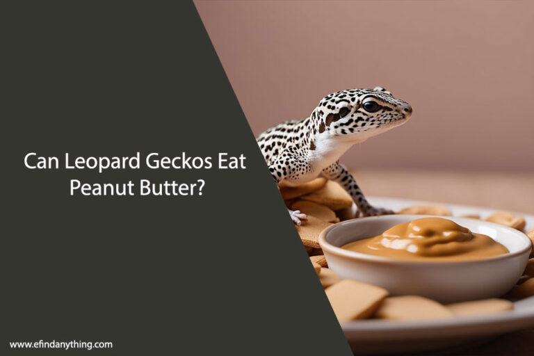 Can Leopard Geckos Eat Peanut Butter