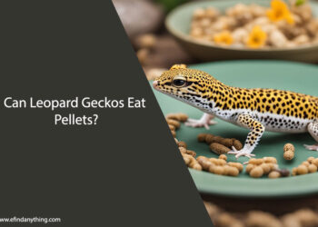 Can Leopard Geckos Eat Pellets