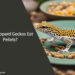 Can Leopard Geckos Eat Pellets