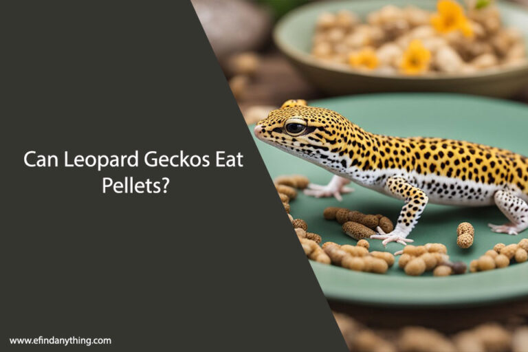 Can Leopard Geckos Eat Pellets