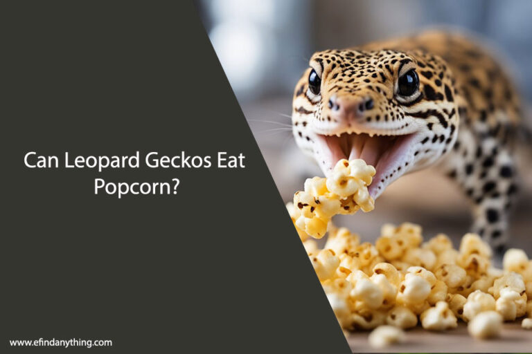 Can Leopard Geckos Eat Popcorn