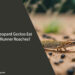 Can Leopard Geckos Eat Red Runner Roaches