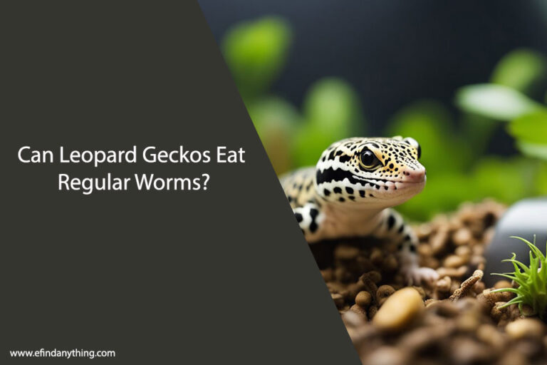 Can Leopard Geckos Eat Regular Worms