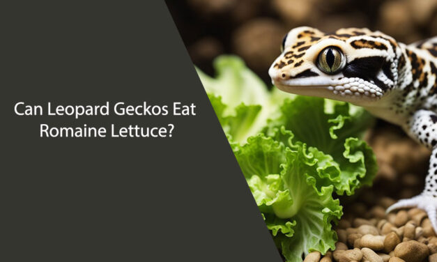 Can Leopard Geckos Eat Romaine Lettuce?