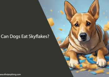 Can Dogs Eat Skyflakes