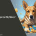 Can Dogs Eat Skyflakes