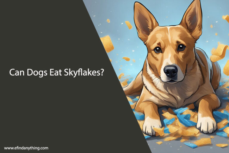 Can Dogs Eat Skyflakes