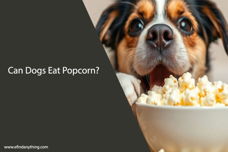 Can Dogs Eat Popcorn