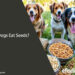 Can Dogs Eat Seeds: A Guide to Safe Seed Options