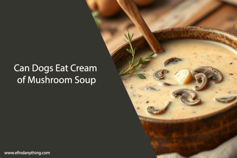 Can Dogs Eat Cream of Mushroom Soup