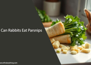Can Rabbits Eat Parsnips
