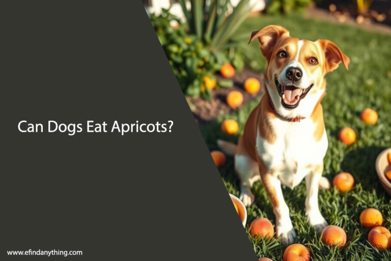 Can Dogs Eat Apricots
