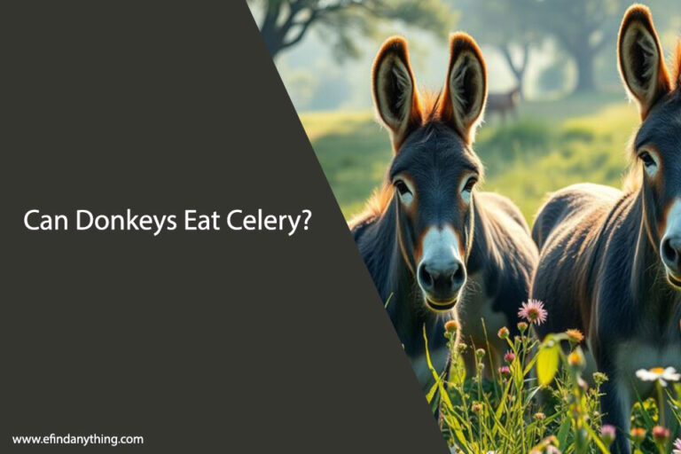 Can Donkeys Eat Celery