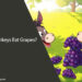 Can Donkeys Eat Grapes? What You Need to Know